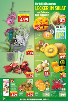 Zimmerpflanzen im aktuellen E center Prospekt (Berlin) Zimmerpflanzen im E center Prospekt "Aktuelle Angebote" mit 27 Seiten (Berlin)