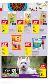 Croquettes Chien Angebote im Prospekt "Carrefour market" von Carrefour Market auf Seite 49