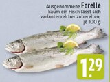 Ausgenommene Forelle Angebote bei E center Rheda-Wiedenbrück für 1,29 €