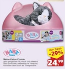 famila Nordwest Quakenbrück - Meine Katze Cookie Angebot im Prospekt Meine Katze Cookie bei famila Nordwest im Quakenbrück Prospekt für 24,99 €