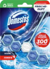 WC Stein Power 5 Angebote von Domestos bei Marktkauf Stade für 1,29 €