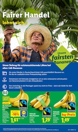 Aktueller Lidl Prospekt mit Bananen, "LIDL LOHNT SICH", Seite 61