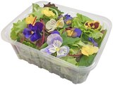 Blütensalat Mix im Angebot bei REWE in Rodgau Blütensalat Mix Angebote von REWE Feine Welt bei REWE Rodgau für 1,59 €