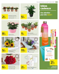 Offre Plantes dans le catalogue Carrefour du moment à la page 59
