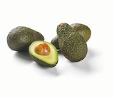 Avocado im aktuellen Lidl Prospekt