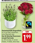 EDEKA Sinsheim - Gartenlavendel Angustifolia Angebot im Prospekt Gartenlavendel Angustifolia bei EDEKA im Sinsheim Prospekt für 1,99 €