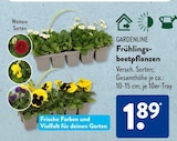 Frühlingsbeetpflanzen von Gardenline im aktuellen ALDI SÜD Prospekt für 1,89 €