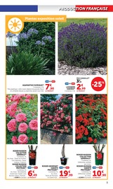 Jardinage Angebote im Prospekt "Super U" von Super U Jardinage Angebote im Prospekt "Super U" von Super U auf Seite 3