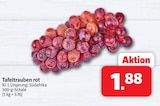 Tafeltrauben rot bei Markant Nordwest im Saterland Prospekt für 1,88 €