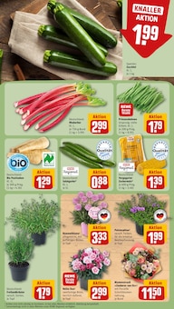 Blumen im REWE Prospekt "Dein Markt" mit 30 Seiten (Augsburg)