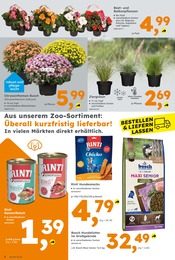 Aktueller Globus-Baumarkt Prospekt mit Tierfutter, "Immer eine Idee besser", Seite 2