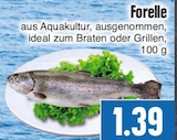 EDEKA Elbtal Prospekt mit  im Angebot für 1,39 €