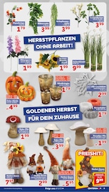 Kunstblumen im CENTERSHOP Prospekt in Hemer Aktueller CENTERSHOP Prospekt mit Kunstblumen, "Da geht was.", Seite 9