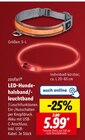 LED-Hundehalsband/-leuchtband von zoofari im aktuellen Lidl Prospekt für 5,99 €