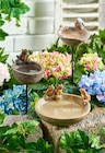 Aktuelles Vogeltränke Angebot bei Penny in Osnabrück ab 6,99 €