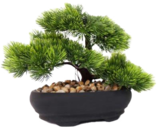 Bonsai en promo chez La Foir’Fouille Niort à 9,99 €