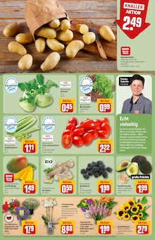 Blumen im REWE Prospekt "Dein Markt" mit 30 Seiten (Nürnberg)