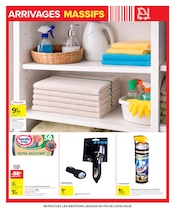 Poubelle en promo dans le catalogue Carrefour à la page 4