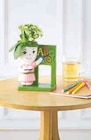 Kalanchoe Figurine Professeur - Super U à Montpellier Kalanchoe Figurine Professeur en promo chez Super U Montpellier à 6,99 €