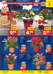 Aktueller Netto Marken-Discount Prospekt mit Garten, "Aktuelle Angebote", Seite 7