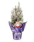 Petit sapin enneigé ou Boule de Noël orchidée déco dans le catalogue Lidl