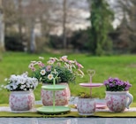 Etagere Posita bei Garten-Center Nordharz GmbH & Co. KG im Prospekt "" für 9,99 €
