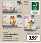 Laternen-Bastelset / LED-Lichter von crelando für 3,99 € bei Lidl im Angebot Laternen-Bastelset / LED-Lichter von crelando im aktuellen Lidl Prospekt