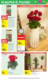 Promos Plante Verte dans le catalogue "LE MOIS MONOPOLY" de Carrefour Market Plante Verte en promo dans le catalogue Carrefour Market à la page 65