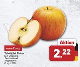 Aktuelles Tafeläpfel Elstar Angebot bei famila Nordwest in Oldenburg ab 2,22 €