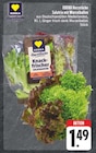 Salatrio mit Wurzelballen bei EDEKA im Annaberg-Buchholz Prospekt für 1,49 €
