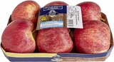 Äpfel Gala im Angebot bei E center in Frankfurt Äpfel Gala Angebote bei E center Frankfurt für 1,99 €