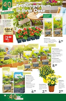 Blumenerde im aktuellen BayWa Bau- und Gartenmärkte Prospekt (Würzburg) Blumenerde im BayWa Bau- und Gartenmärkte Prospekt "Jubiläums-angebote" mit 16 Seiten (Würzburg)