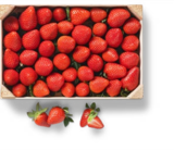 Span. Erdbeeren bei Kaufland im Stuhr Prospekt für 6,99 €