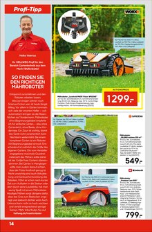 Rasenmäher im Hellweg Prospekt "Die Profi-Baumärkte" mit 24 Seiten (Salzgitter)