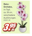 Deko-Orchidee Angebote bei Möbel AS Ludwigshafen für 3,95 €