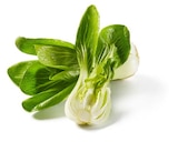 Pak Choi im Angebot bei Lidl in Essen Pak Choi Angebote bei Lidl Essen für 1,49 €