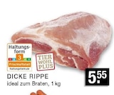 Dicke Rippe bei EDEKA im Gladbeck Prospekt für 5,55 €