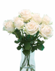 Netto Marken-Discount Brey - Großköpfige Hochland Rosen Angebot im Prospekt Großköpfige Hochland Rosen bei Netto Marken-Discount im Brey Prospekt für 4,44 €
