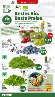 Rucola im aktuellen Penny Prospekt (Bielefeld) Rucola im Penny Prospekt "Wer günstig will, muss Penny." mit 34 Seiten (Bielefeld)