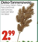 Deko-Tannenzweig Angebote bei Wreesmann Cottbus für 2,99 €