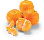 Netto Marken-Discount - Satsumas Angebot im Prospekt Satsumas bei Netto Marken-Discount im Prospekt "" für 1,69 €