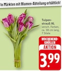 Tulpenstrauß XL bei EDEKA im Blankenrath Prospekt für 3,99 €