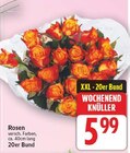 Rosen im aktuellen E center Prospekt