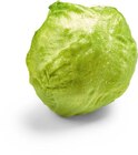 Eisbergsalat im Angebot bei Netto Marken-Discount in Trier Eisbergsalat Angebote von HEIMAT bei Netto Marken-Discount Trier für 0,88 €