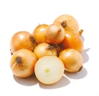 Zwiebeln von GO Regio im aktuellen Netto mit dem Scottie Prospekt