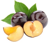 Aktuelle Obst Angebote bei REWE in Mannheim Aktuelles Bio Pflaumen Angebot bei REWE in Mannheim ab 2,49 €