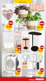 Heizlüfter im Penny Prospekt in Halberstadt Aktueller Penny Prospekt mit Heizlüfter, "Wer günstig will, muss Penny.", Seite 27