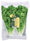 Salatherzen Mini Romana im Angebot bei EDEKA in Rostock Salatherzen Mini Romana Angebote bei EDEKA Rostock für 1,49 €