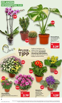 Blumen im aktuellen Kaufland Prospekt (Rostock) Blumen im Kaufland Prospekt "Aktuelle Angebote" mit 59 Seiten (Rostock)