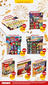 Feuerwerk Angebot im aktuellen Penny Prospekt auf Seite 34